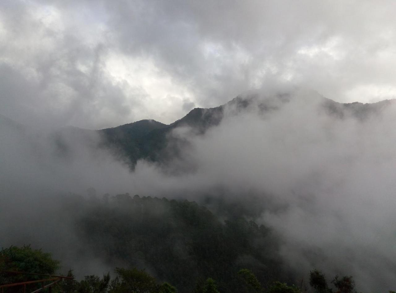 Nature Drops, Pangot Nainital Exterior photo